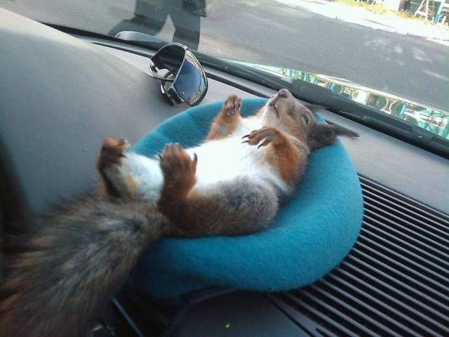 daily picdump 108 pics 27.html - 108 HD Photos | Premium Gallery 2018