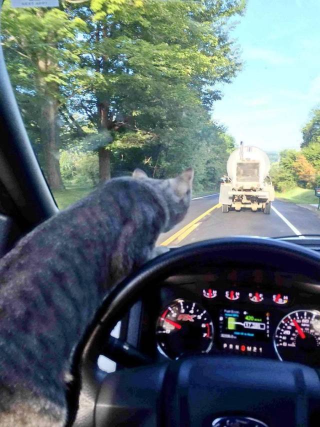 daily picdump 108 pics 27.html - 108 HD Photos | Premium Gallery 2018