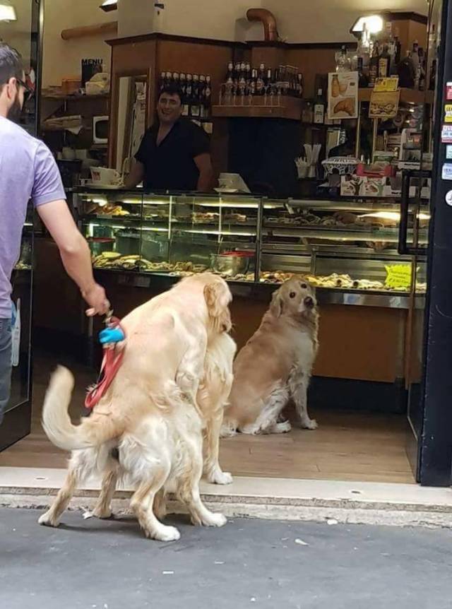 daily picdump 108 pics 27.html - 108 HD Photos | Premium Gallery 2018