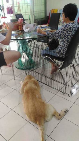 morning picdump 49 pics 17.html - 49 HD Photos | Premium Gallery 2018