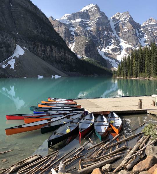 morning picdump 49 pics 17.html - 49 HD Photos | Premium Gallery 2018