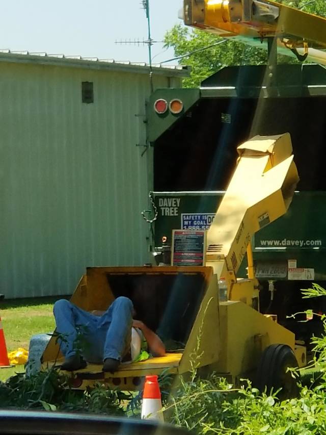 morning picdump 49 pics 17.html - 49 HD Photos | Premium Gallery 2018