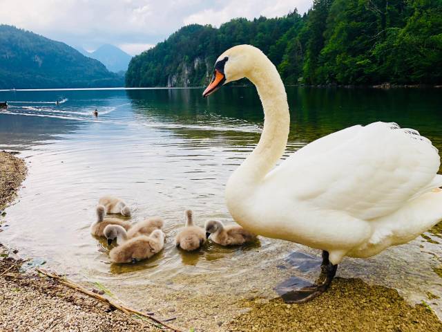 daily picdump weekend edition 50 pics 5.html - 50 HD Photos | Premium Gallery 2018