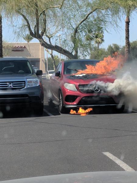 daily picdump weekend edition 50 pics 5.html - 50 HD Photos | Premium Gallery 2018