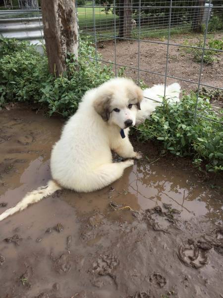 daily picdump weekend edition 50 pics 5.html - 50 HD Photos | Premium Gallery 2018