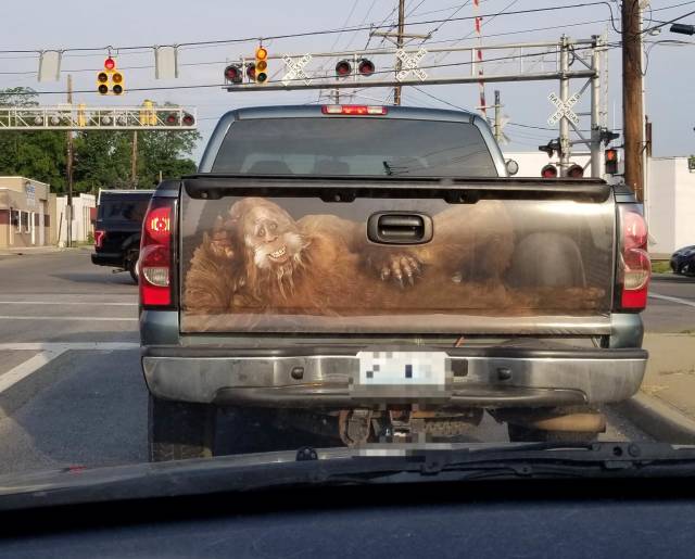 daily picdump weekend edition 50 pics 5.html - 50 HD Photos | Premium Gallery 2018