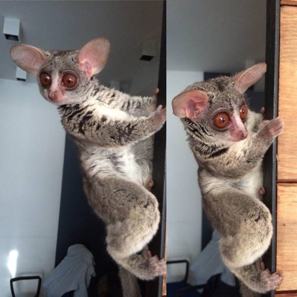 daily picdump 106 pics 46.html - 106 HD Photos | Premium Gallery 2018