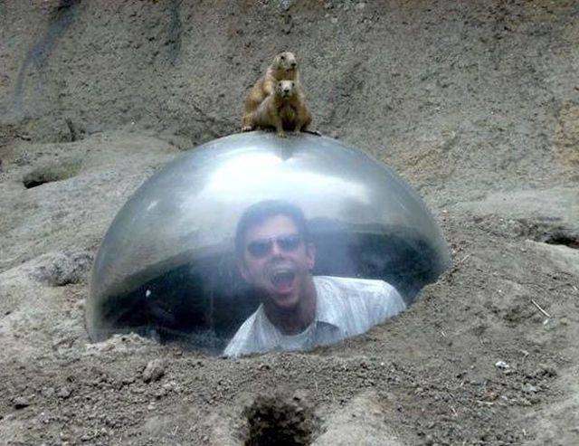 daily picdump 106 pics 46.html - 106 HD Photos | Premium Gallery 2018