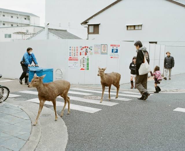 daily picdump 106 pics 46.html - 106 HD Photos | Premium Gallery 2018