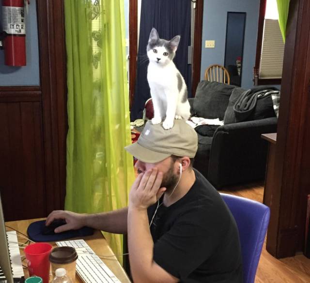 daily picdump 106 pics 46.html - 106 HD Photos | Premium Gallery 2018