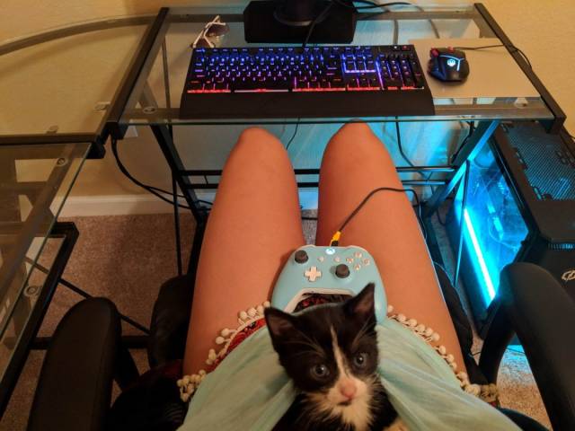 daily picdump 106 pics 46.html - 106 HD Photos | Premium Gallery 2018