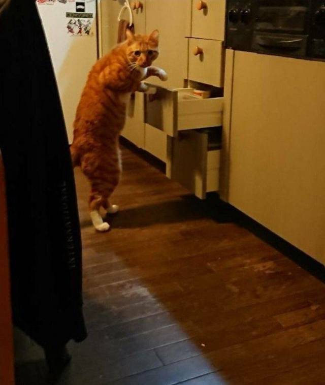 daily picdump 106 pics 46.html - 106 HD Photos | Premium Gallery 2018