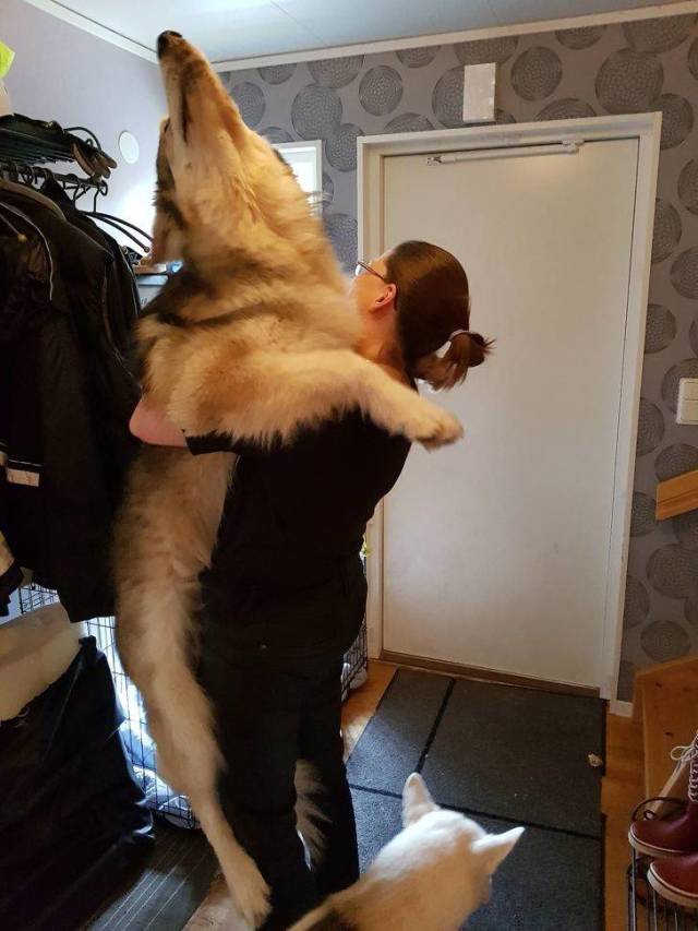 daily picdump 106 pics 46.html - 106 HD Photos | Premium Gallery 2018