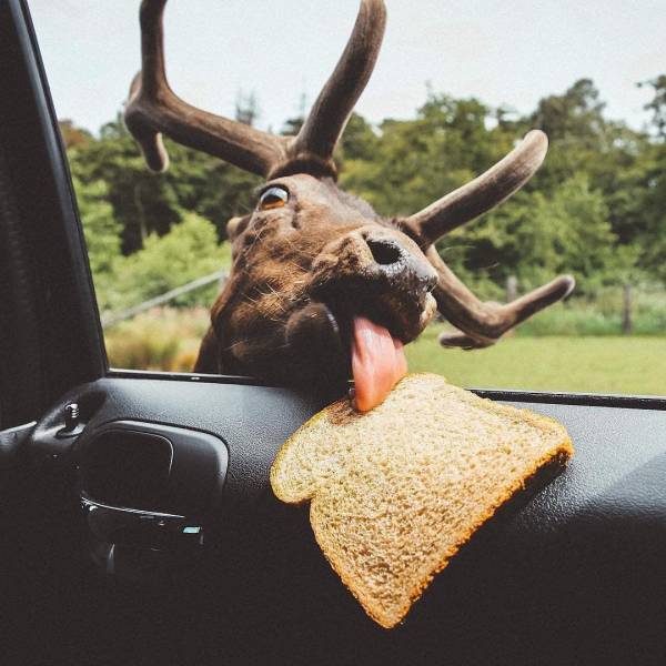 Daily Picdump