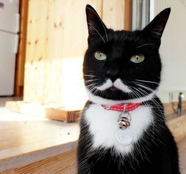 daily picdump 92 pics 12.html - 92 HD Photos | Premium Gallery 2018