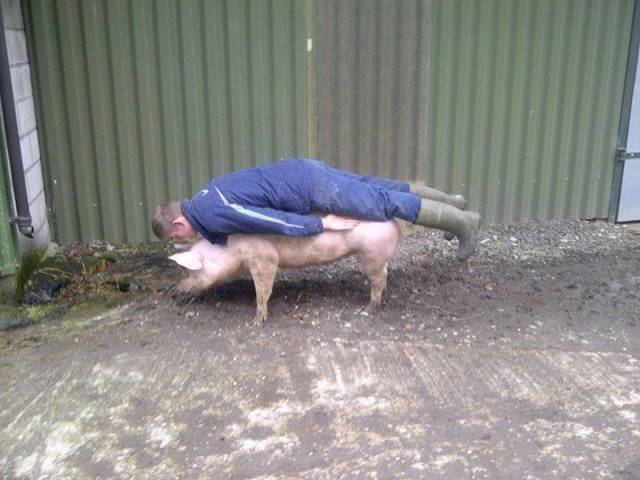 Hard-to-explain WTF Photos