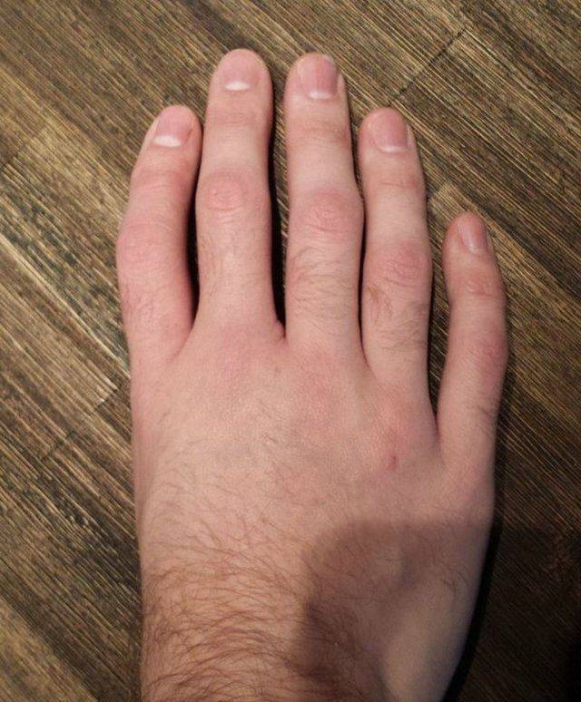 Hard-to-explain WTF Photos