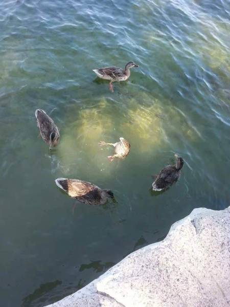 Morning Picdump
