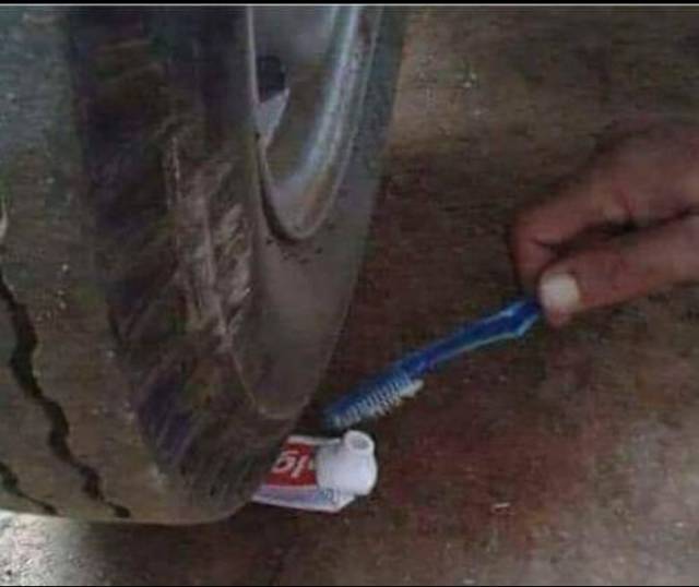 Morning Picdump
