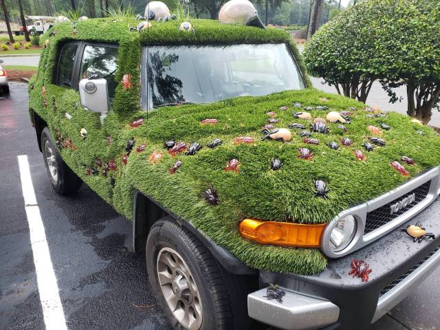 morning picdump 52 pics 18.html - 52 HD Photos | Premium Gallery 2018
