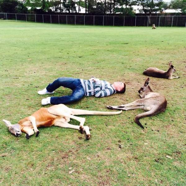 daily picdump 102 pics 51.html - 102 HD Photos | Premium Gallery 2018