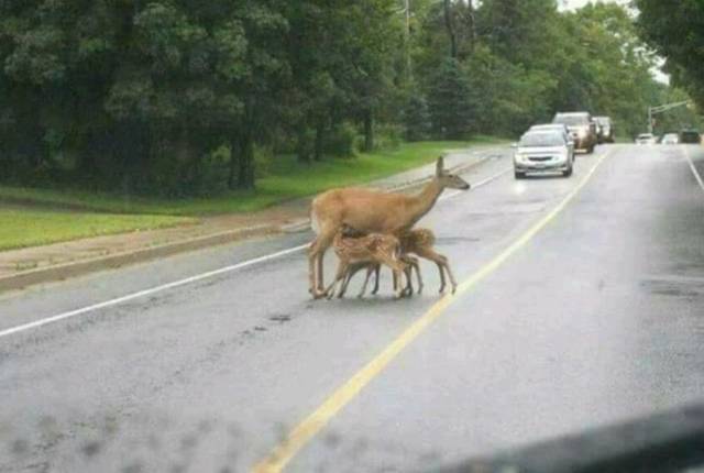 daily picdump 102 pics 51.html - 102 HD Photos | Premium Gallery 2018