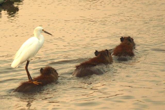 daily picdump 94 pics 21.html - 94 HD Photos | Premium Gallery 2018