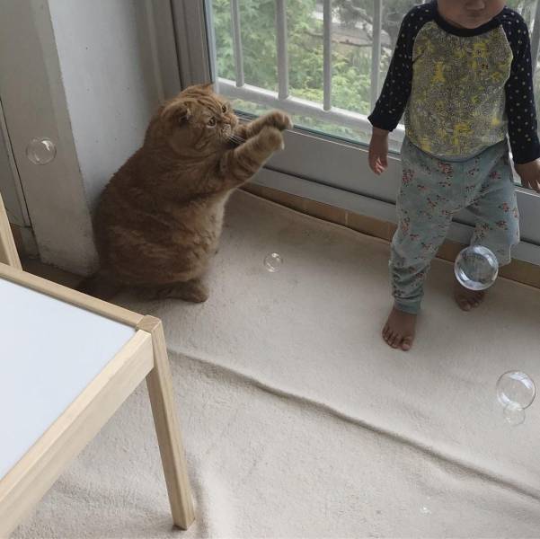 daily picdump 94 pics 21.html - 94 HD Photos | Premium Gallery 2018