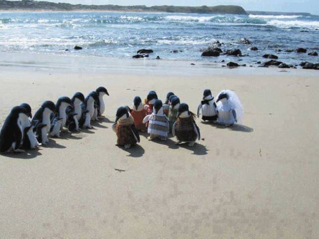 daily picdump 94 pics 21.html - 94 HD Photos | Premium Gallery 2018