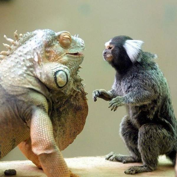 daily picdump 94 pics 21.html - 94 HD Photos | Premium Gallery 2018