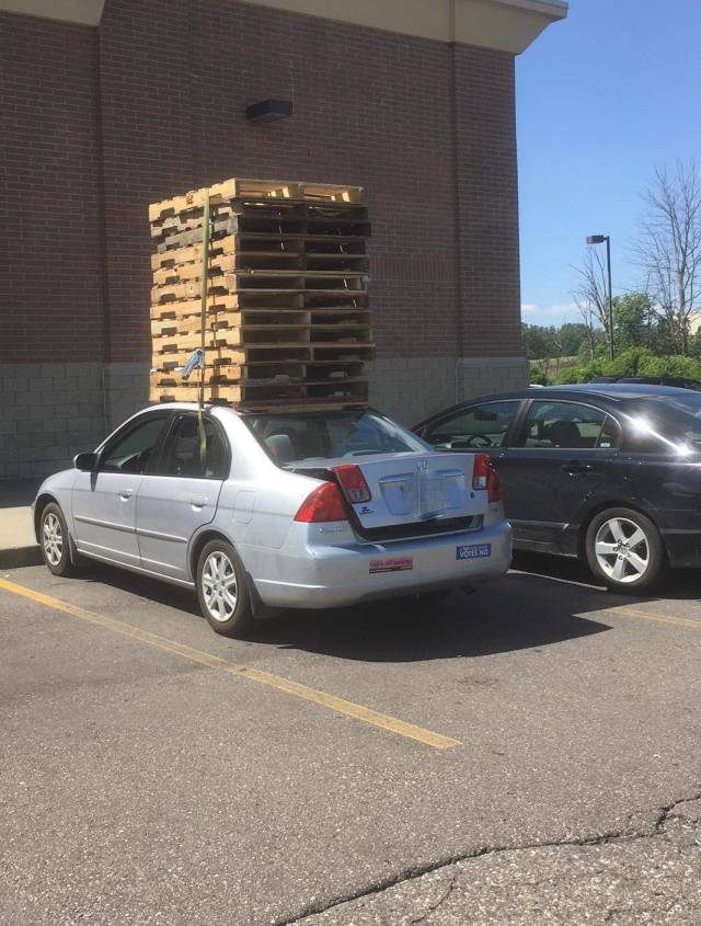 morning picdump 54 pics 12.html - 54 HD Photos | Premium Gallery 2018