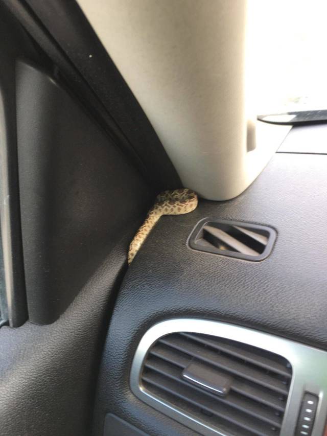 morning picdump 54 pics 12.html - 54 HD Photos | Premium Gallery 2018