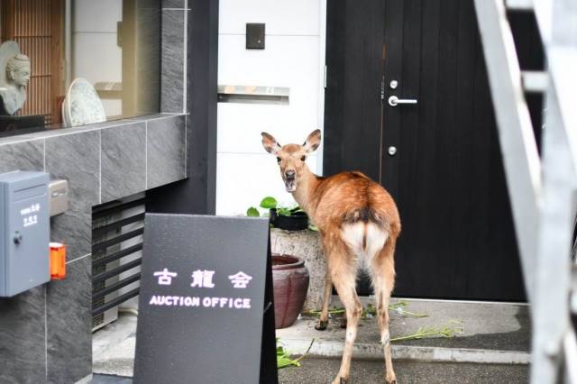 daily picdump 94 pics 47.html - 94 HD Photos | Premium Gallery 2018