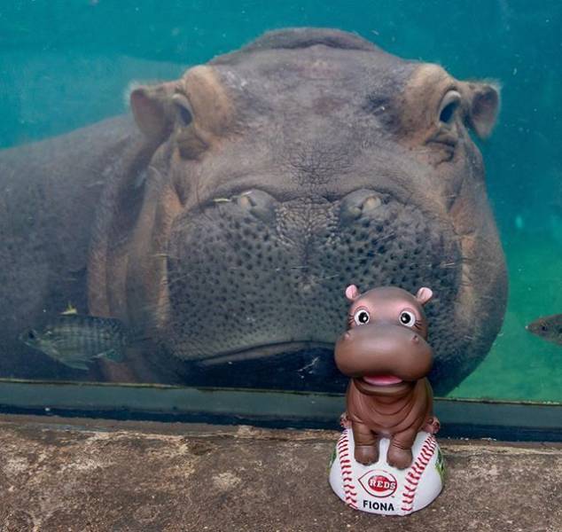 daily picdump 94 pics 47.html - 94 HD Photos | Premium Gallery 2018