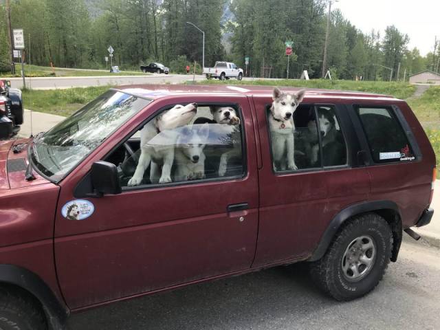 daily picdump 94 pics 47.html - 94 HD Photos | Premium Gallery 2018