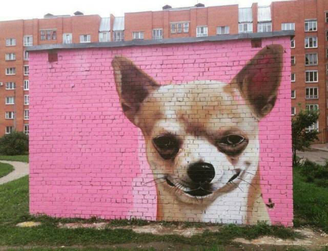 daily picdump 94 pics 47.html - 94 HD Photos | Premium Gallery 2018