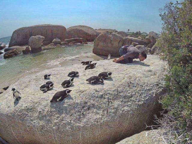 daily picdump 94 pics 47.html - 94 HD Photos | Premium Gallery 2018