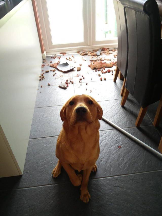 daily picdump 94 pics 47.html - 94 HD Photos | Premium Gallery 2018