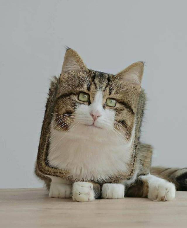 daily picdump 94 pics 47.html - 94 HD Photos | Premium Gallery 2018