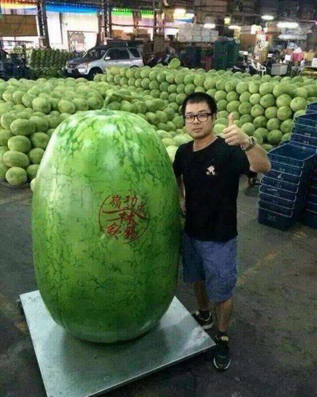 daily picdump 94 pics 47.html - 94 HD Photos | Premium Gallery 2018