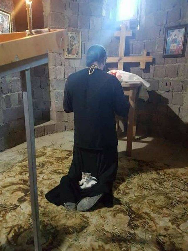 daily picdump 94 pics 47.html - 94 HD Photos | Premium Gallery 2018