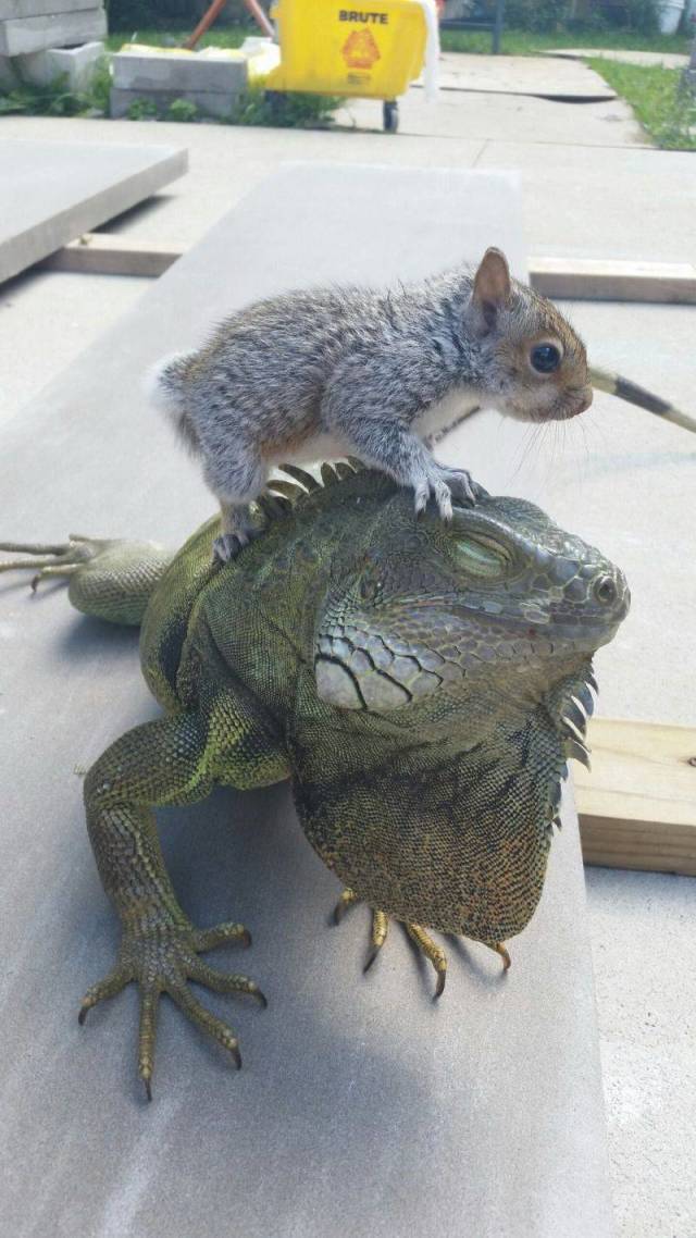 daily picdump 94 pics 47.html - 94 HD Photos | Premium Gallery 2018