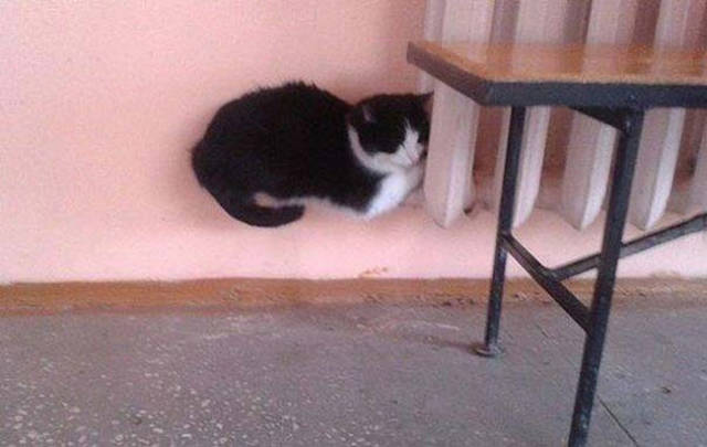 Do You Still Trust Your Eyes?