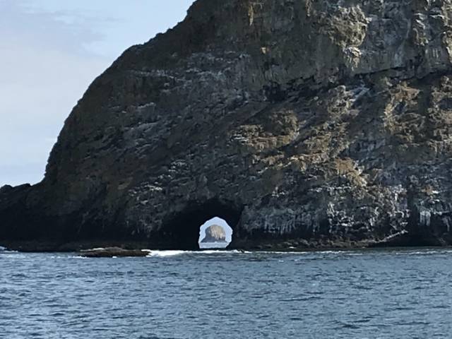 Do You Still Trust Your Eyes?