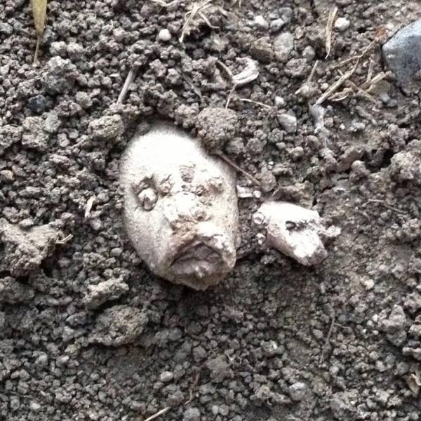 Do You Still Trust Your Eyes?