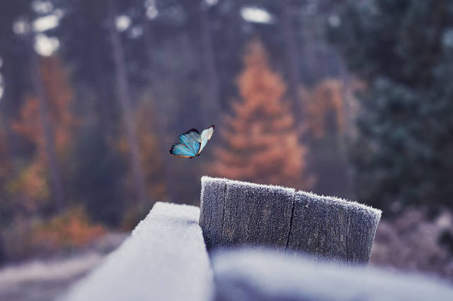 morning picdump 51 pics 12.html - 51 HD Photos | Premium Gallery 2018