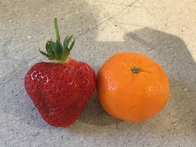 morning picdump 51 pics 12.html - 51 HD Photos | Premium Gallery 2018