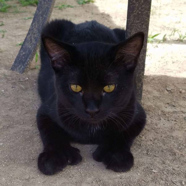 morning picdump 51 pics 12.html - 51 HD Photos | Premium Gallery 2018