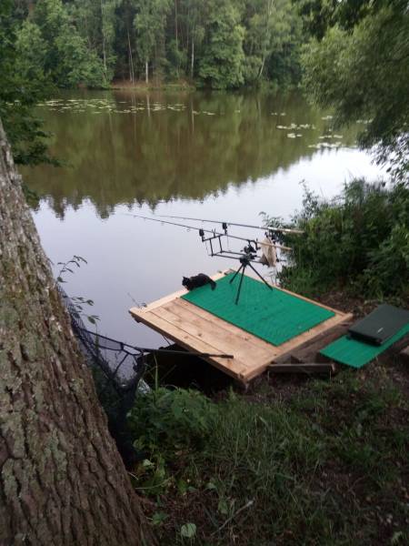 morning picdump 51 pics 12.html - 51 HD Photos | Premium Gallery 2018