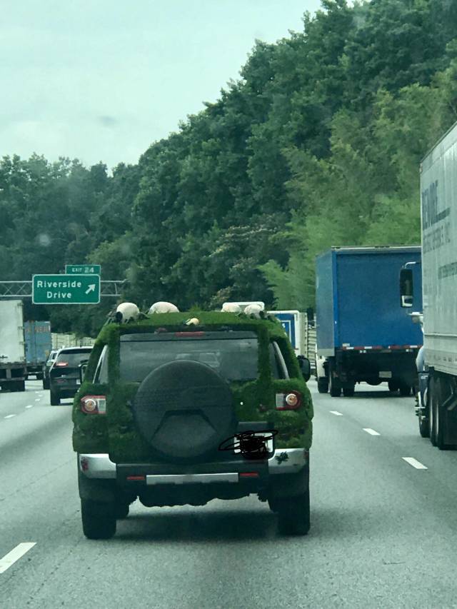 morning picdump 51 pics 12.html - 51 HD Photos | Premium Gallery 2018